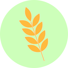 bouton gluten